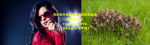 стафф Алексин