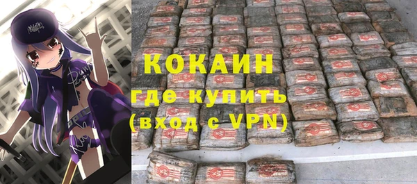 стафф Алексин