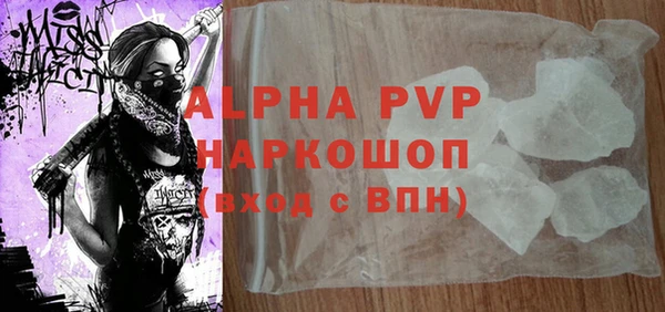 стафф Алексин